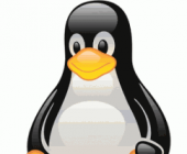 Mac adreso keitimas linux operacinėje sistemoje