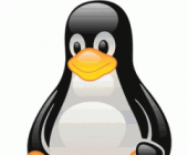 Linux distribution top 10